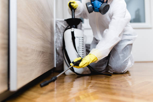 Best Best Pest Control Companies  in New Haven, MO