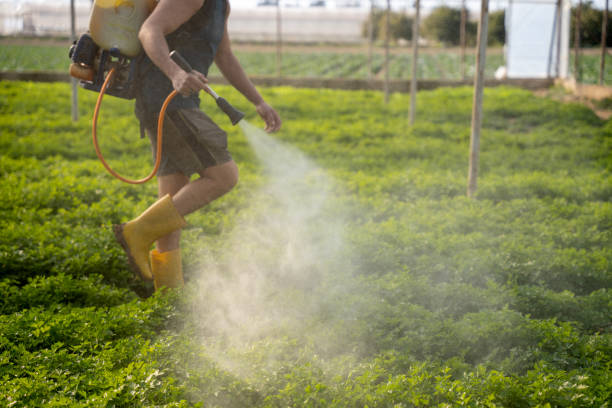 Best Affordable Pest Control Services  in New Haven, MO