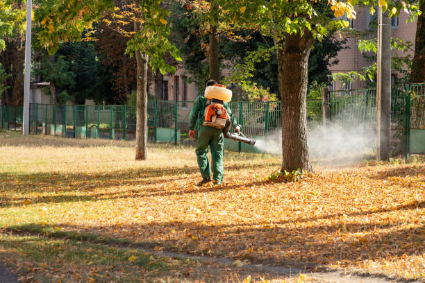 Reliable New Haven, MO Pest Control Solutions
