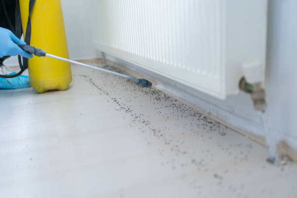 Best Best Pest Control Companies  in New Haven, MO