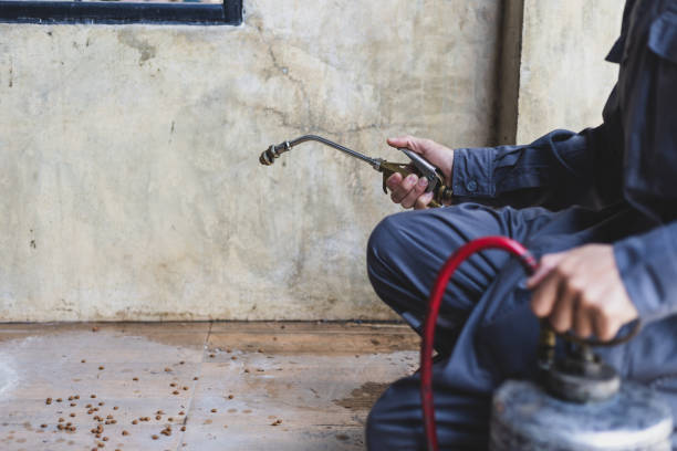 Best Pest Control Near Me  in New Haven, MO